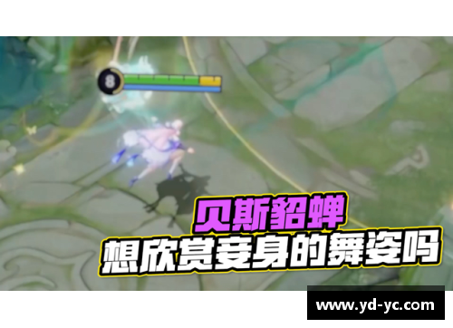 当代体育偶像的荣耀与奉献展现的无尽精神之旅